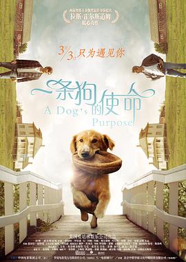 偷食家族
