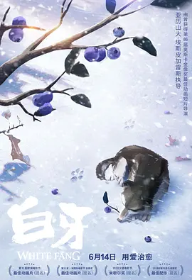 男生打飞机视频