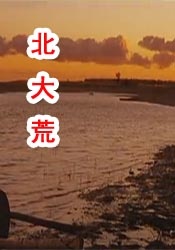 亚洲精品在线免费看