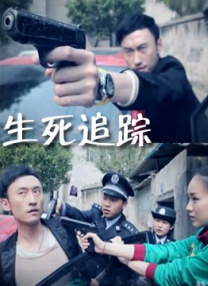皆字秘