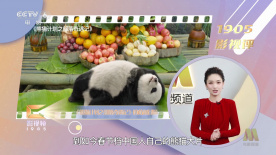 四虎最新网址在线观看